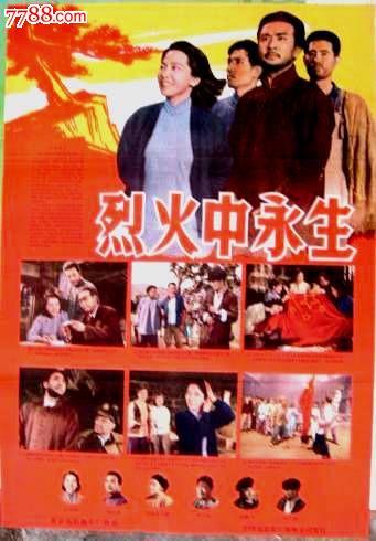 武蔵野大学建筑学文凭证书